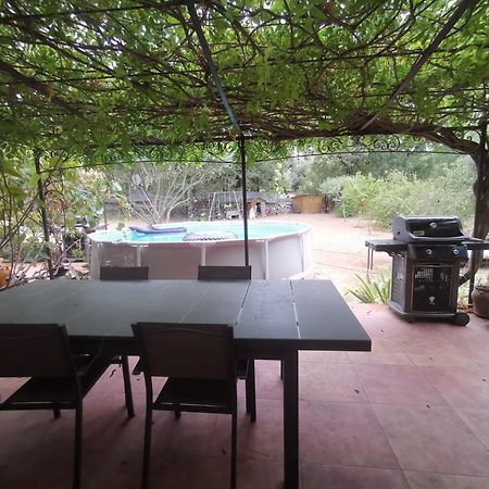 T2 Independant Terrasse Et Piscine Au Calme Var Sud De La France Flassans-sur-Issole المظهر الخارجي الصورة